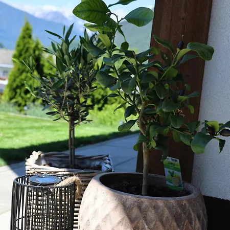 Alpenchalet Eiter Lägenhet