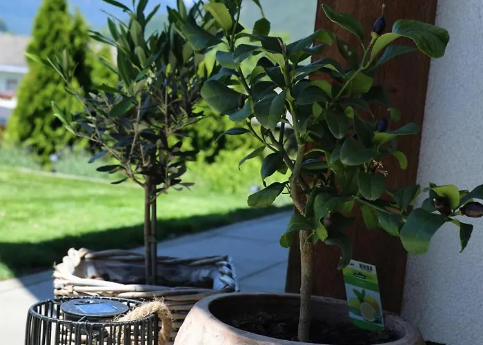 Alpenchalet Eiter Appartement